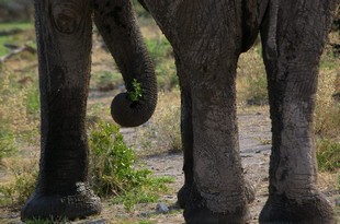 722 Namibia Okt 2006 .JPG
